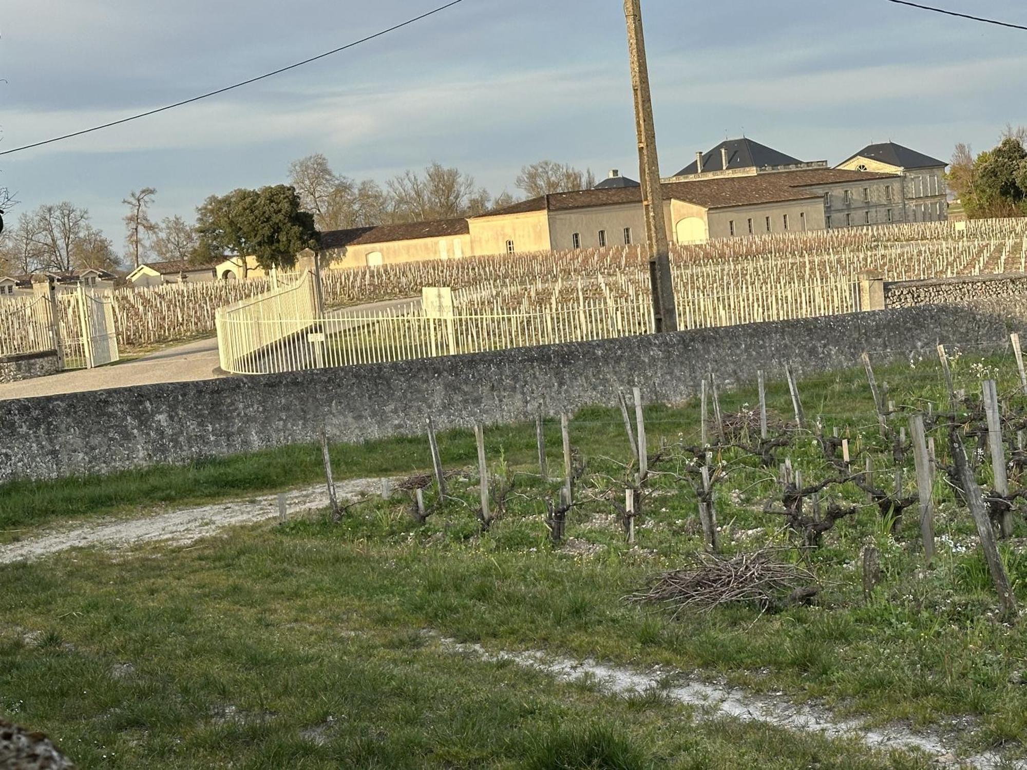 Maison Jeroboam Saint-Estèphe Dış mekan fotoğraf